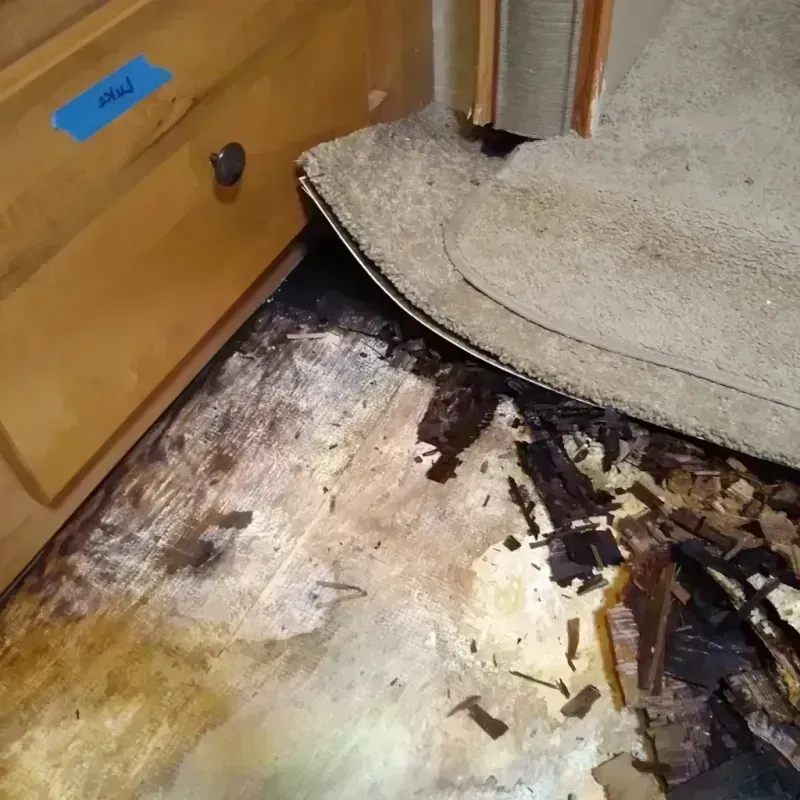 Best Wood Floor Water Damage Service in Cushing, ME